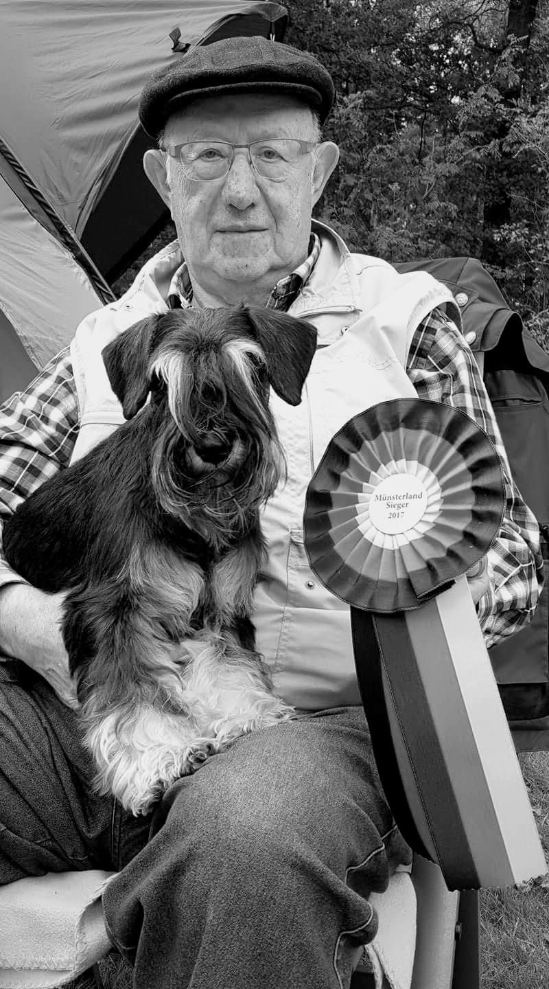 schnauzer schwarz silber,black silver,sinfonie,züchter