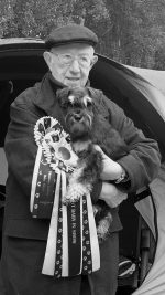 kassel,frankenberg kellerwald,zwergschnauzer,hunde,welpen