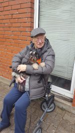 schwarz,welpen,zwerschnauzer, kellerwald frankenber,kassel