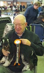 kellerwald,hessen,kassel,welpen,zwergschnauzer,