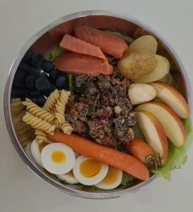 zwergschnauzer ,welpen