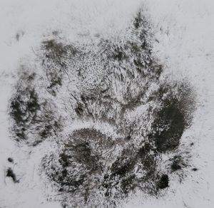 hunde,frankenberg northessen,sauerland,fellpflege